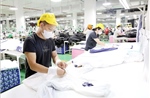 Điểm tin kinh tế Việt Nam nổi bật ngày 17/7/2026