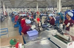Công nhận kỹ năng: Cơ hội để lao động Việt vươn ra thị trường quốc tế