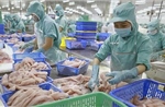 CPTPP - Điểm tựa thúc đẩy dòng chảy thương mại tự do