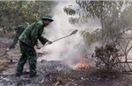 Huế kịp thời khống chế vụ cháy rừng trồng keo