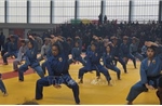 Vovinam - Việt Võ Đạo hội tụ tại Paris sau 30 năm phát triển toàn cầu
