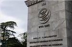 WTO: Cơ hội lớn để tham gia sâu hơn vào chuỗi giá trị toàn cầu