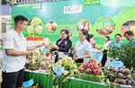 Thái Nguyên: Đẩy mạnh kết nối tiêu thụ na La Hiên và nông sản chủ lực
