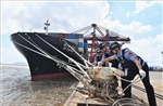 Trung Quốc nâng mức ứng phó khẩn cấp với bão Dolphin