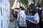 Phát triển đại học tinh hoa: Phân tầng, tập trung nguồn lực cho các mũi nhọn