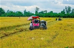 Nghị quyết 57-NQ/TW: Ứng dụng công nghệ nâng cao chuỗi giá trị hợp tác xã