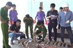 Phát hiện hơn 1,1 tấn ngà voi cất giấu tinh vi trong 3 container gỗ