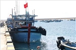 Khắc phục 'thẻ vàng' IUU: Thiết lập 2 điểm lên cá tạm tại Phú Quý