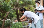 Kích hoạt ‘lá chắn’ phòng sốt xuất huyết từ cơ sở