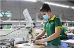 Giảm thuế thu nhập doanh nghiệp: Trợ lực tài chính gắn với yêu cầu hoàn thiện thể chế 