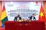 Thúc đẩy hợp tác đầu tư Việt Nam - Ghi-nê