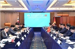 Việt Nam - Hàn Quốc thúc đẩy hợp tác trong các lĩnh vực kinh tế trọng điểm