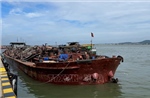 Bắt giữ tàu chở cát không rõ nguồn gốc trên vùng biển Cần Giờ