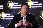 Tỷ phú Elon Musk dự báo thế giới có 1 tỷ robot hình người trong 10 năm tới