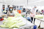 Dệt may Việt Nam chủ động chuyển đổi để giữ nhịp xuất khẩu