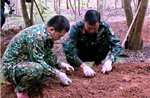 Mở rộng khu vực tìm kiếm, quy tập thêm nhiều hài cốt liệt sĩ tại Quảng Trị