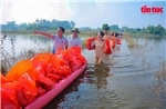 Công an Hà Nội giúp dân xã Trung Giã khắc phục hậu quả bão số 11