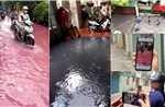 Chủ tịch Hà Nội yêu cầu kiểm tra Cụm công nghiệp Phú Minh gây ô nhiễm môi trường