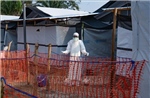 Giải mã virus Ebola đang khiến WHO báo động toàn cầu