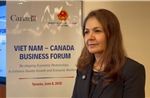 Chuyên gia Canada đánh giá cao bản lĩnh đối ngoại của Việt Nam