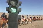 Khu du lịch Trung Quốc lắp đèn giao thông cho lạc đà trên sa mạc