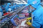Xuất khẩu thủy sản phục hồi chậm, cá tra vẫn gặp khó ở EU