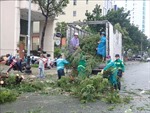 Đà Nẵng tích cực hỗ trợ người dân khắc phục thiệt hại do bão