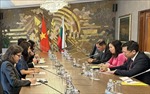 Thứ trưởng Ngoại giao Việt Nam và Bulgaria trao đổi về hợp tác song phương