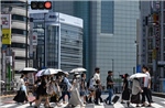 Khảo sát: Hơn 40% số người Nhật Bản sống ở nước ngoài cảm thấy cô đơn