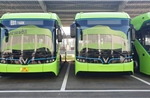 VinBus của Vingroup được Hà Nội xếp hạng 5 sao