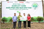 SeABank và Tập đoàn BRG chung tay trồng 68.000 cây phủ xanh gần 20ha rừng tại Lào Cai