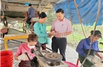 Đổi thay ở Lục Yên từ vốn tín dụng chính sách
