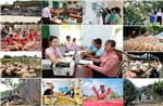Xây dựng Đảng bộ NHCSXH Trung ương vững mạnh toàn diện, đồng hành cùng đất nước