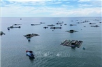 Phát triển kinh tế biển xanh cho Việt Nam - Lời khuyên từ chuyên gia