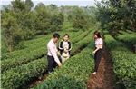 Sơn La đổi thay không ngừng nhờ vốn tín dụng chính sách