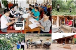 Nghệ An tích cực khơi thông dòng chảy vốn tín dụng chính sách