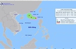 Các tỉnh, thành phố từ Quảng Ninh đến Đắk Lắk chủ động ứng phó với áp thấp nhiệt đới