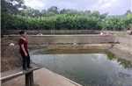 Cá chết hàng loạt ở Bắc Quang (Tuyên Quang): Chờ câu trả lời từ cơ quan chức năng