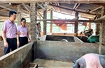 Lan tỏa sâu rộng, hiệu quả của tín dụng chính sách ở Cao Bằng