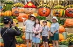 Bật mí những trải nghiệm cực chất tại Sun World Ba Na Hills vào chiều tối