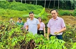 Tín dụng chính sách - chìa khoá then chốt trong công cuộc giảm nghèo ở Thái Nguyên