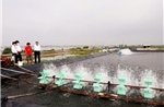 Tín dụng chính sách tiếp tục làm điểm tựa vững bền ở Quảng Trị