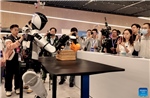 Cuộc đua tạo robot hình người tân tiến nhất thế giới giữa Trung Quốc và Mỹ