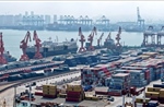 Rủi ro thuế quan Mỹ đè nặng, xuất khẩu Trung Quốc tháng 8 giảm tốc mạnh nhất nửa năm