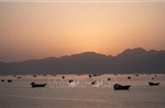 Hàn Quốc điều tra vụ hỏa hoạn trên tàu chở hàng tại eo biển Hormuz