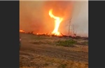 Ukraine công bố video lốc xoáy lửa tại khu vực cấm Chernobyl