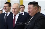 Tổng thống Putin coi trọng quan hệ hữu nghị với nhà lãnh đạo Triều Tiên