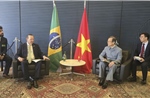 Đảng Cộng sản Việt Nam tăng cường hợp tác với các lực lượng chính trị Brasil