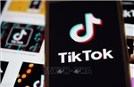 8 tháng sau lệnh cấm, thanh thiếu niên Australia tìm cách quay trở lại TikTok