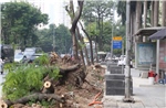 Hà Nội chặt cây, xén vỉa hè mở rộng tuyến phố giờ nào cũng tắc